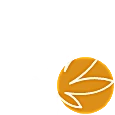 Flower cannabis products